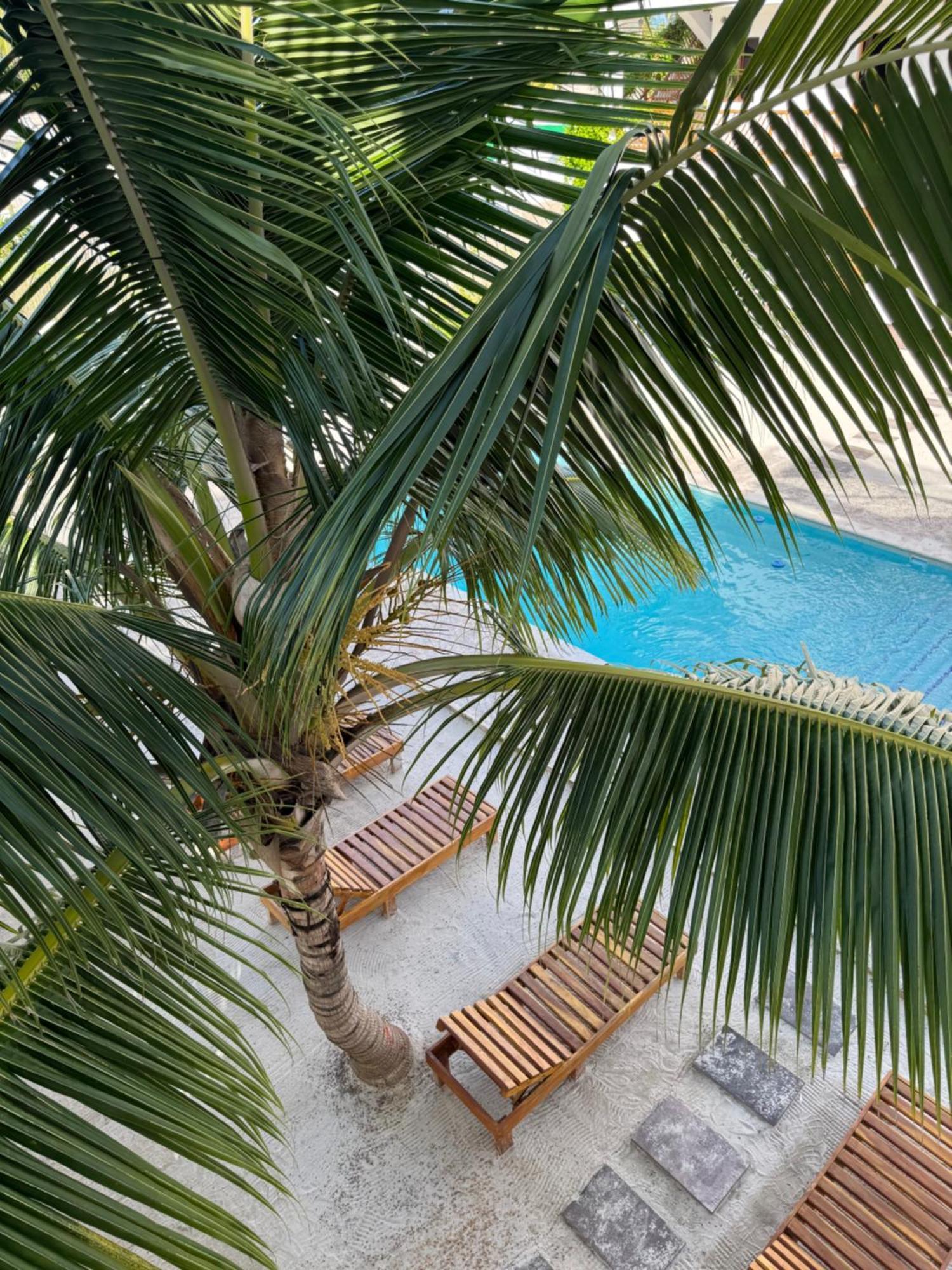 Mexhe Hotel Эль-Куйо Экстерьер фото